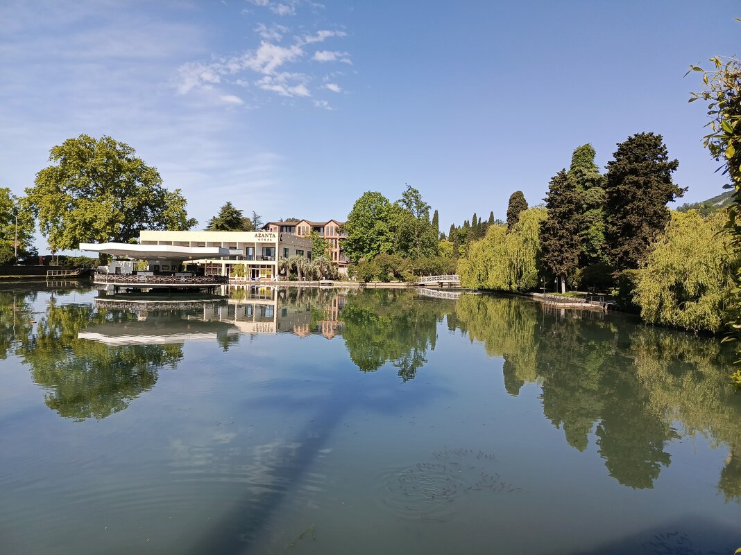 Парк в Новом Афоне - Татьяна Пальчикова