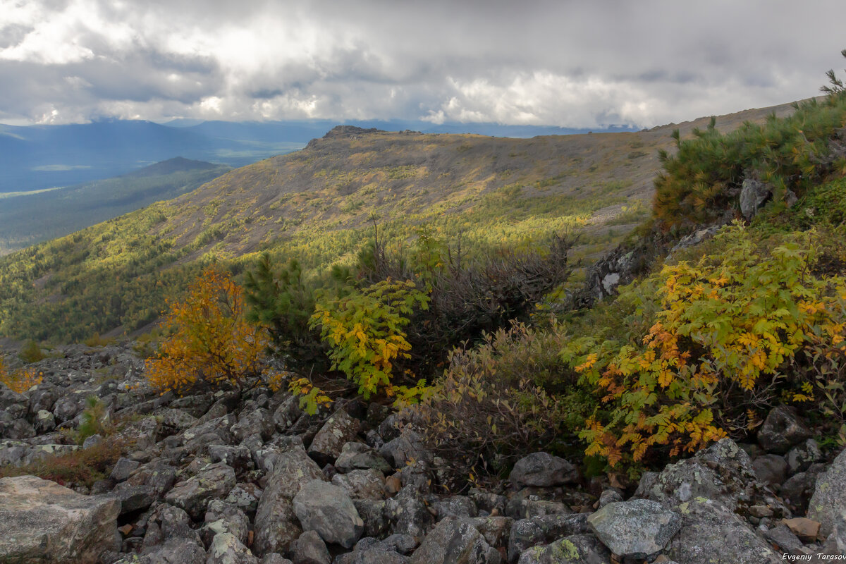 Конец лета на Северном Урале - Евгений Тарасов 