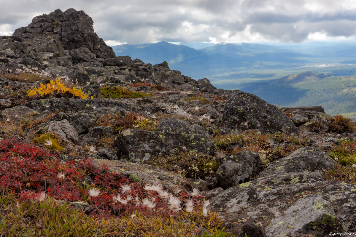 Перевал к осени - Евгений Тарасов 