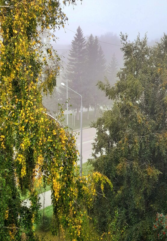 Осенним , туманным утром . - Мила Бовкун