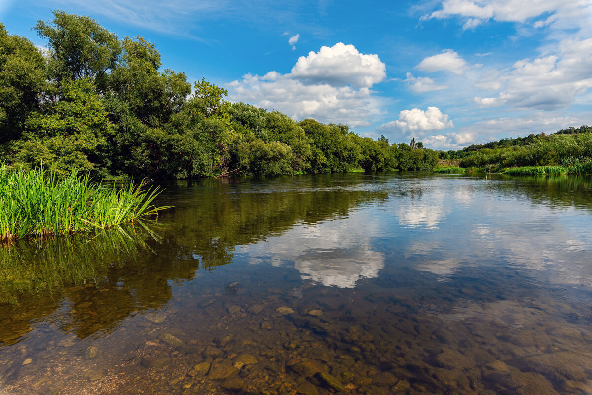 **** - Виталий Емельянов