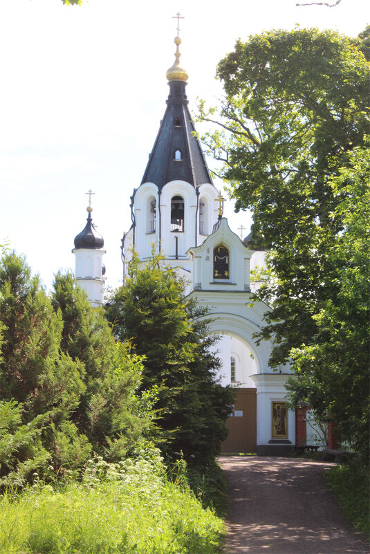 Владимирский скит Валаамского монастыря - Любовь ***
