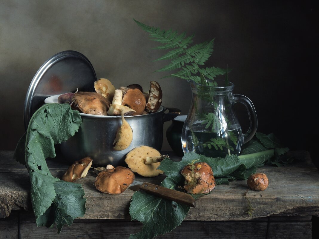 Маслята - Валентина 