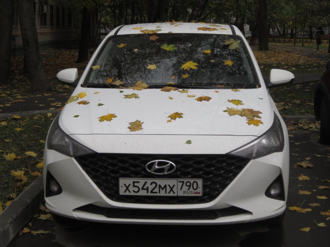 Hyjndai в кленовых листьях - Дмитрий Никитин