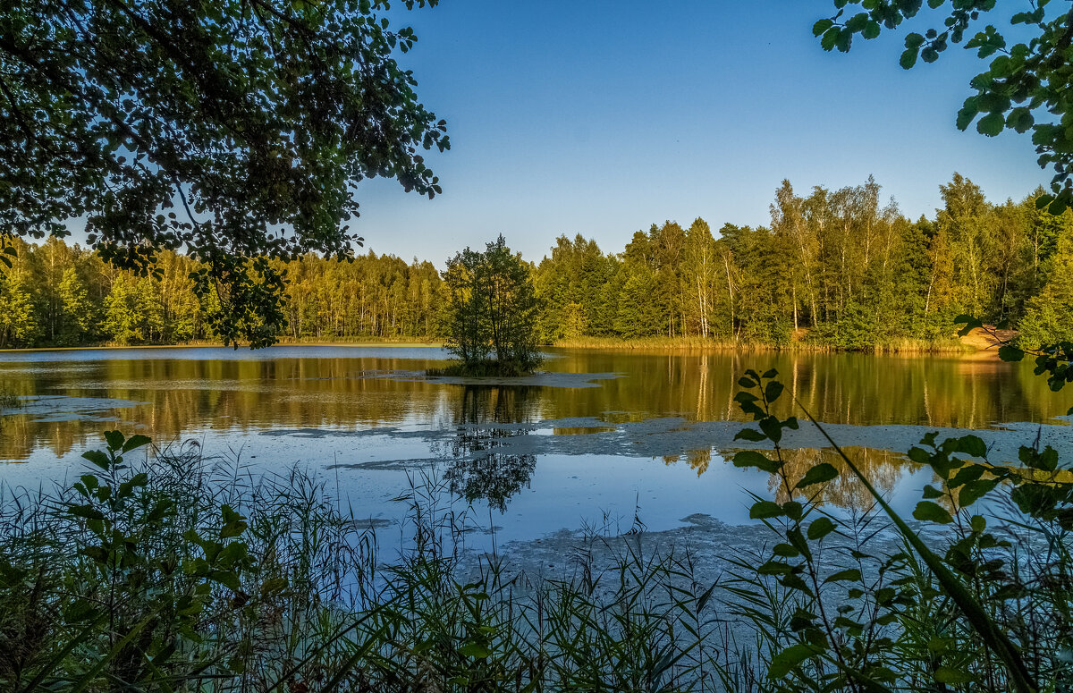 На исходе лета 6 - Андрей Дворников