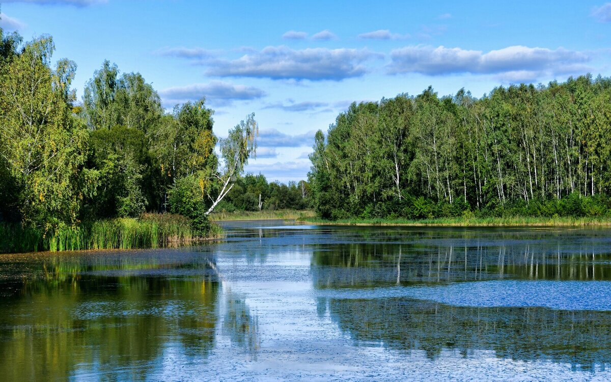 Осенний пейзаж в первый осенний вечер. - Милешкин Владимир Алексеевич 