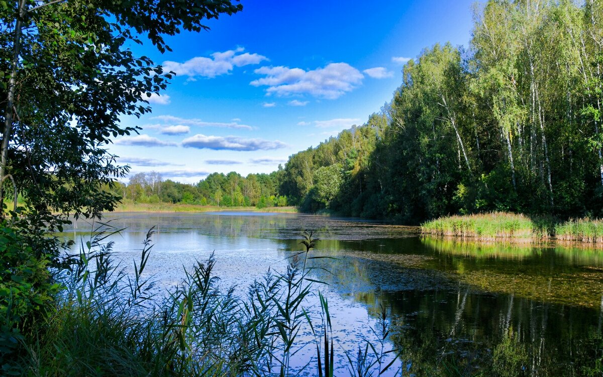 Картинка Смоленской осени. - Милешкин Владимир Алексеевич 
