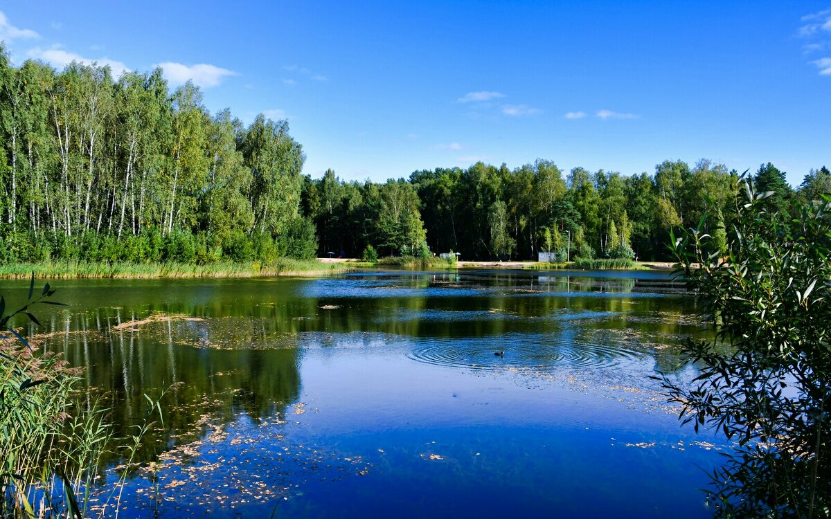 Осенний вечер в деревне. - Милешкин Владимир Алексеевич 