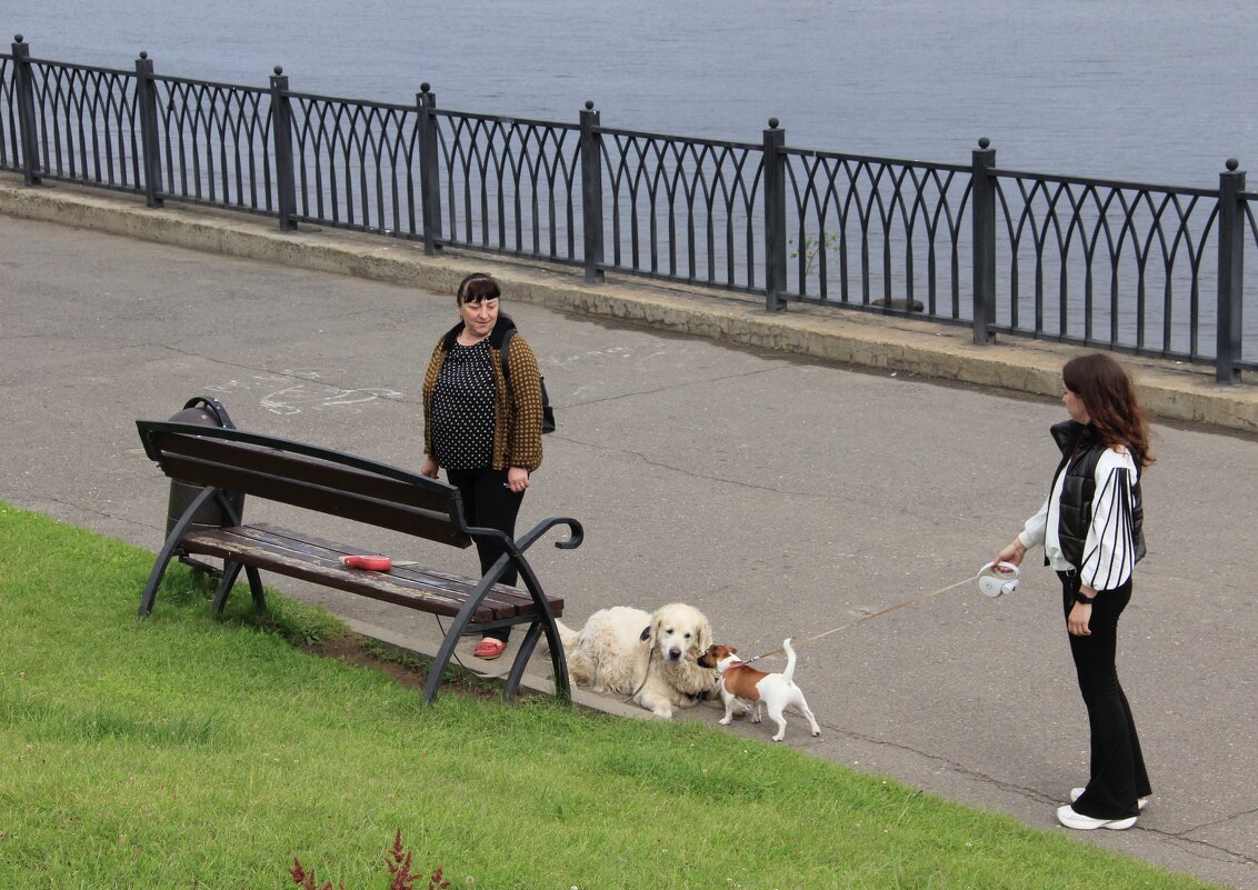Знакомство на набережной - Любовь 