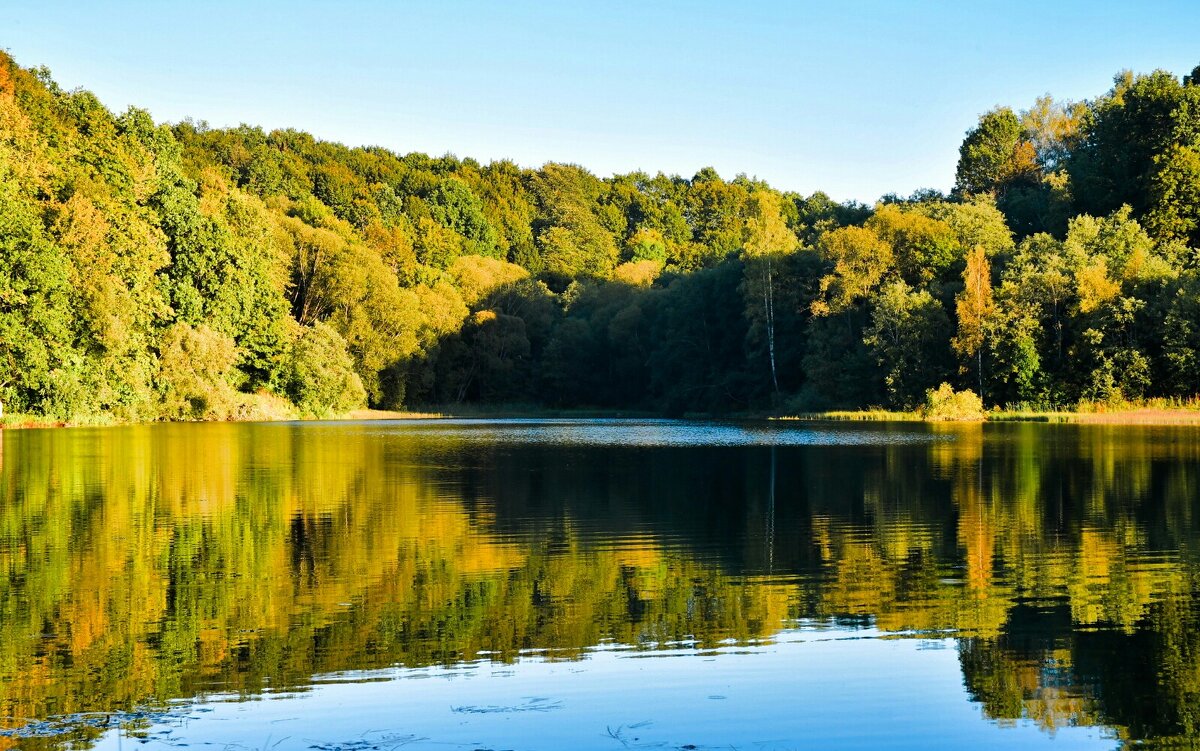Осенний пейзаж. - Милешкин Владимир Алексеевич Осенний пейзаж. - Милешкин Владимир Алексеевич