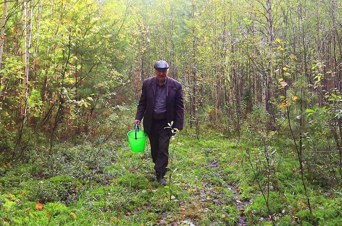 Август...Росное утро грибника! - Владимир 