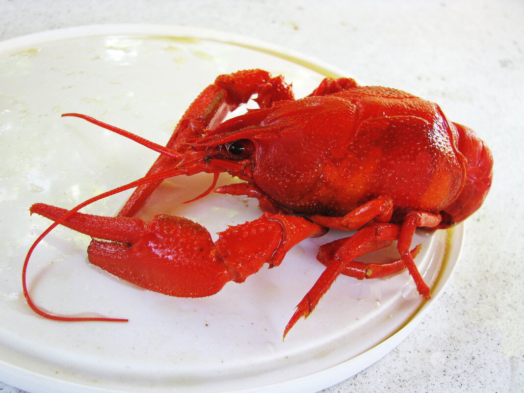 Вкуснятина - Людмила Смородинская