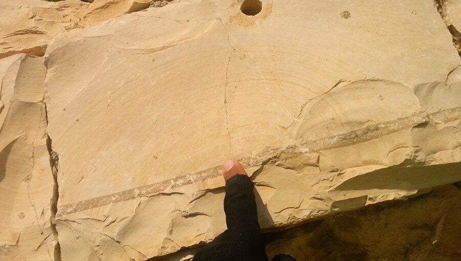 113 (48) - CLOSE WAYS ALL