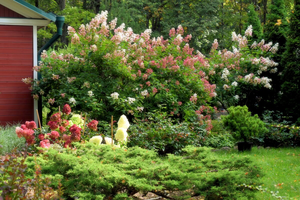 Райский уголок. - Татьяна Помогалова Райский уголок. - Татьяна Помогалова