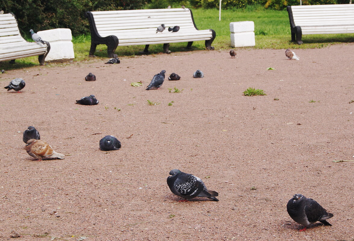 ЗАТИШЬЕ - Виктор Никитенко