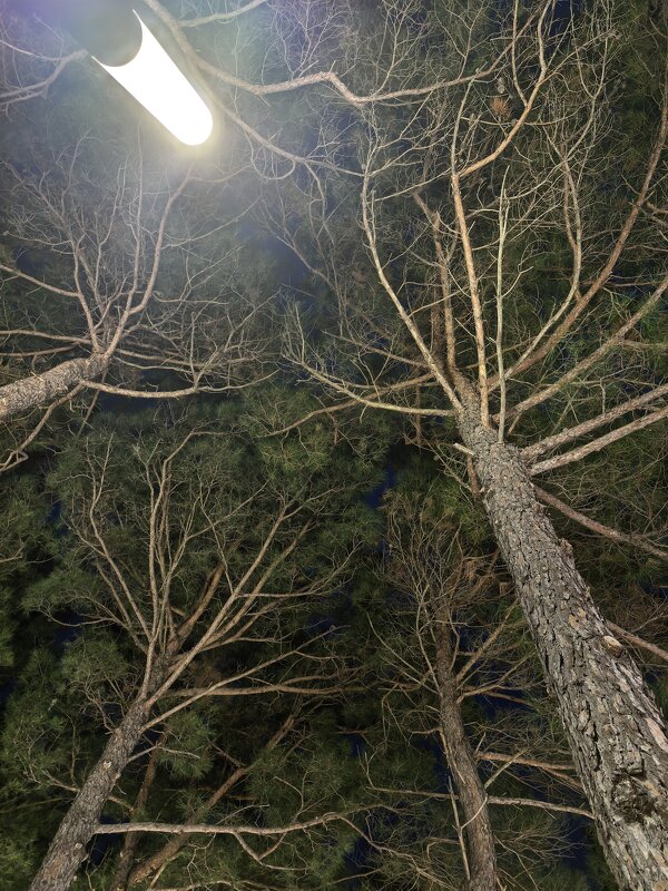 Взгляд вверх - Татьяна Михайлова Взгляд вверх - Татьяна Михайлова