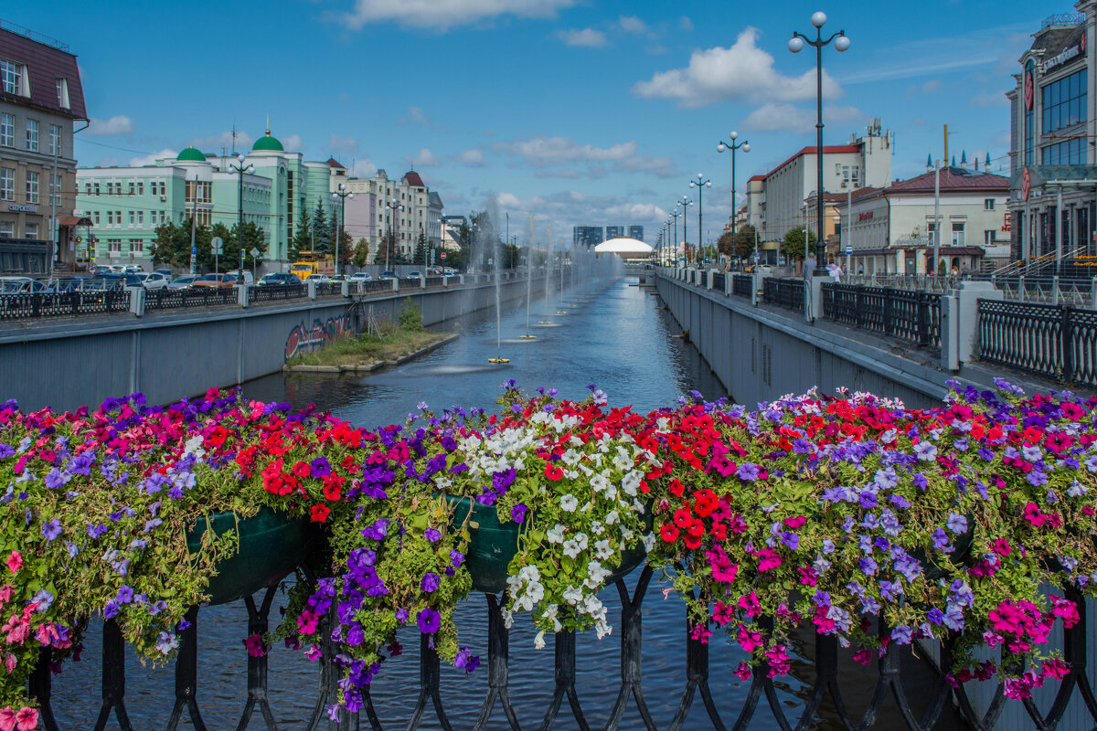 Цветы - Владимир Жуков Цветы - Владимир Жуков