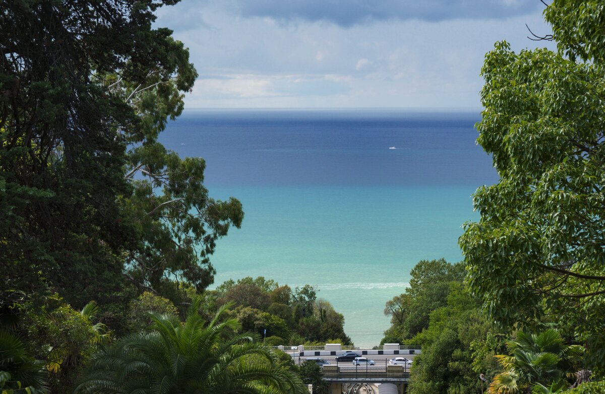 Сочинские зарисовки - Александр Гапоненко