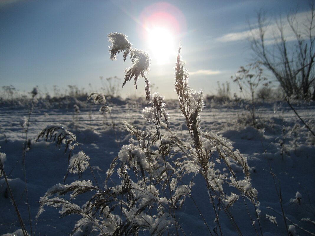 Утро - Anna Ivanova Утро - Anna Ivanova