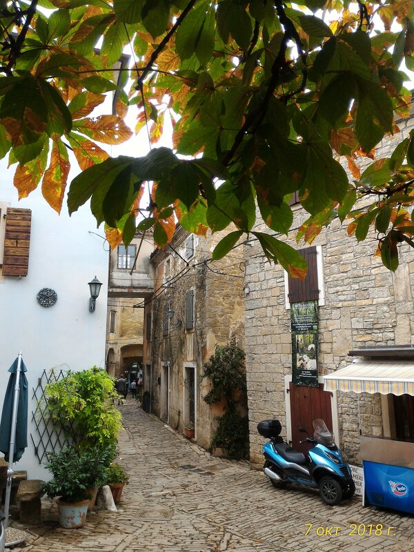 Хорватия - Натали 