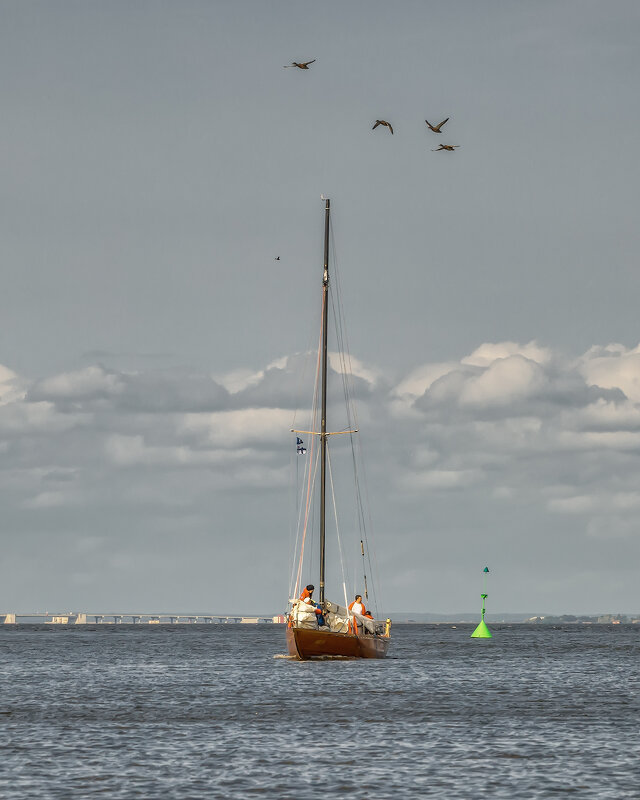 Про Питер - Владимир Колесников