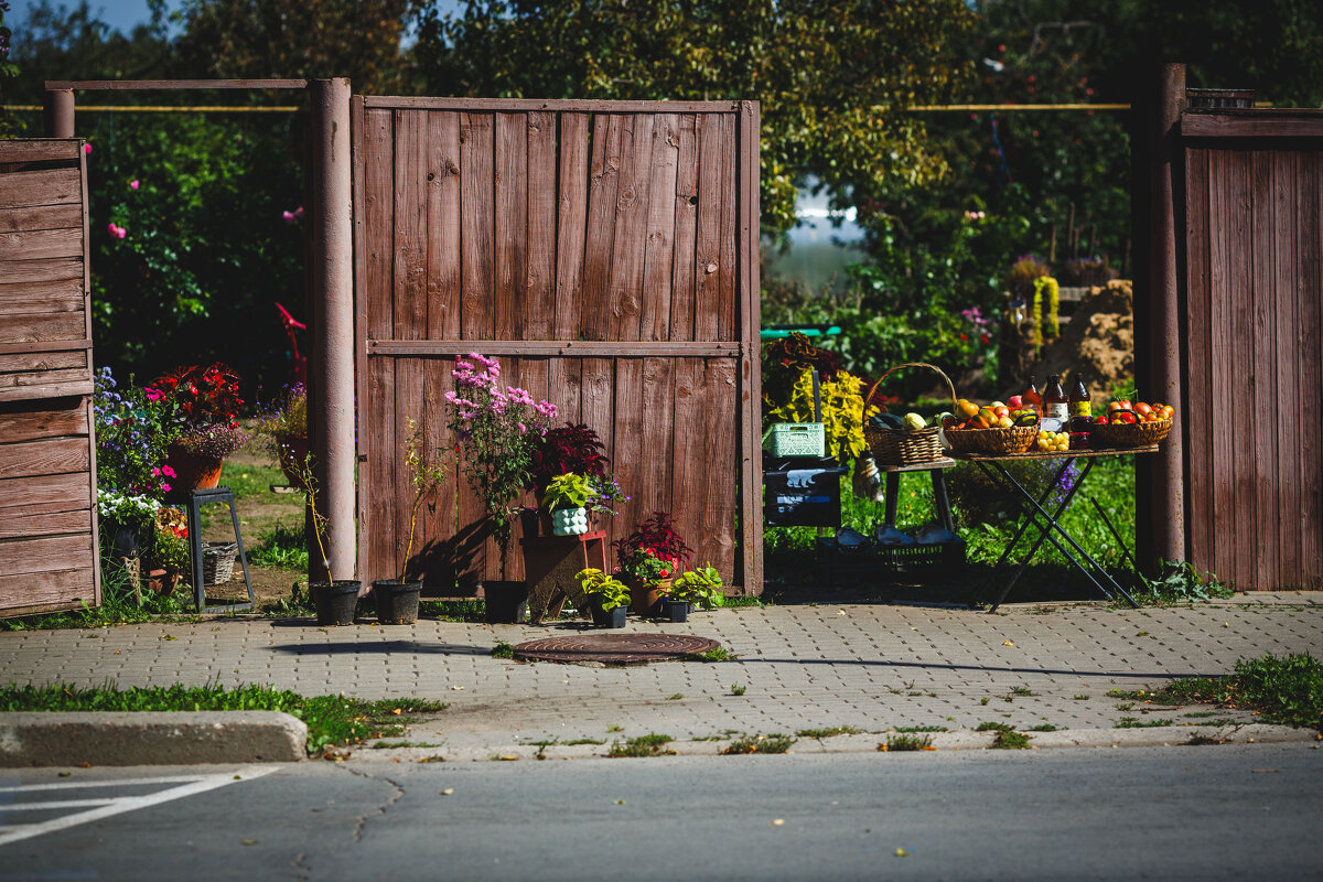 Суздаль. Дары лета - Вячеслав Владимирович