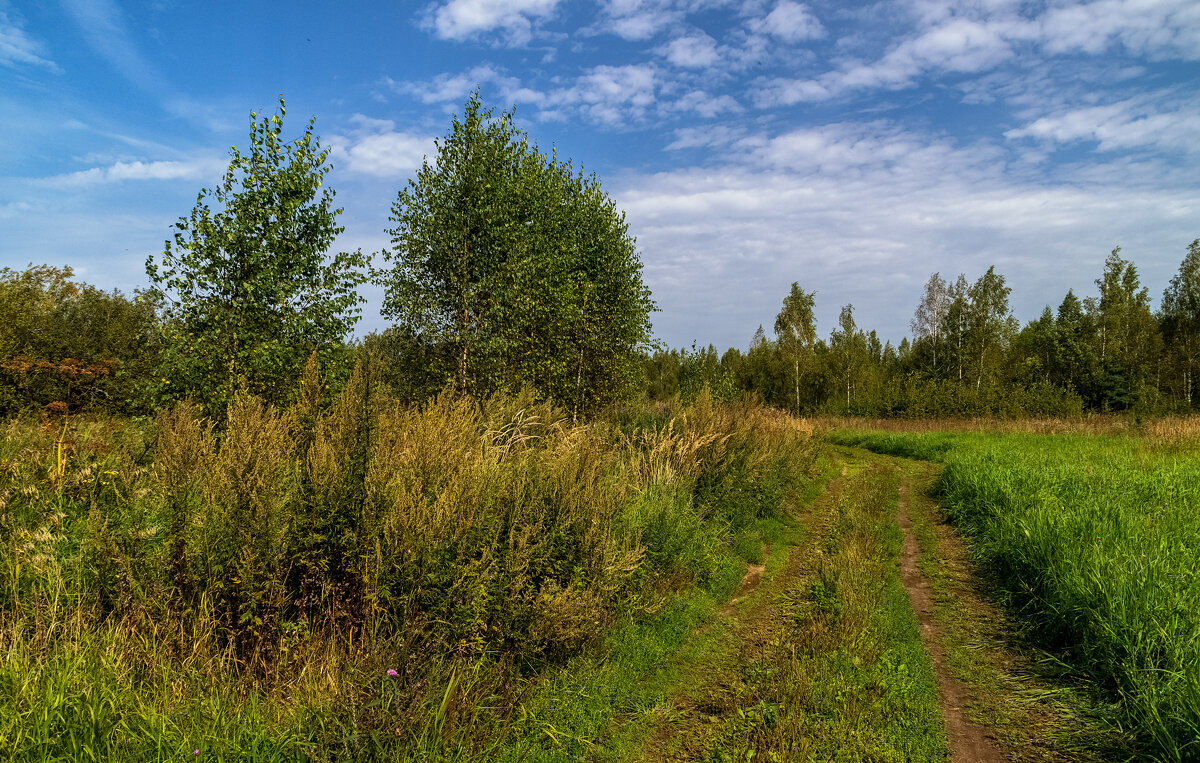На исходе лета 7 - Андрей Дворников