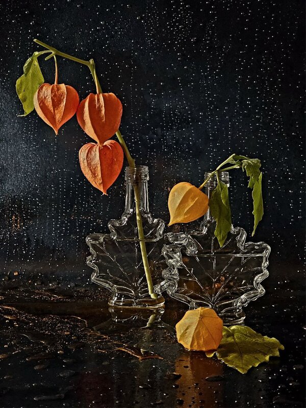 Осенний джаз - Галина Левина