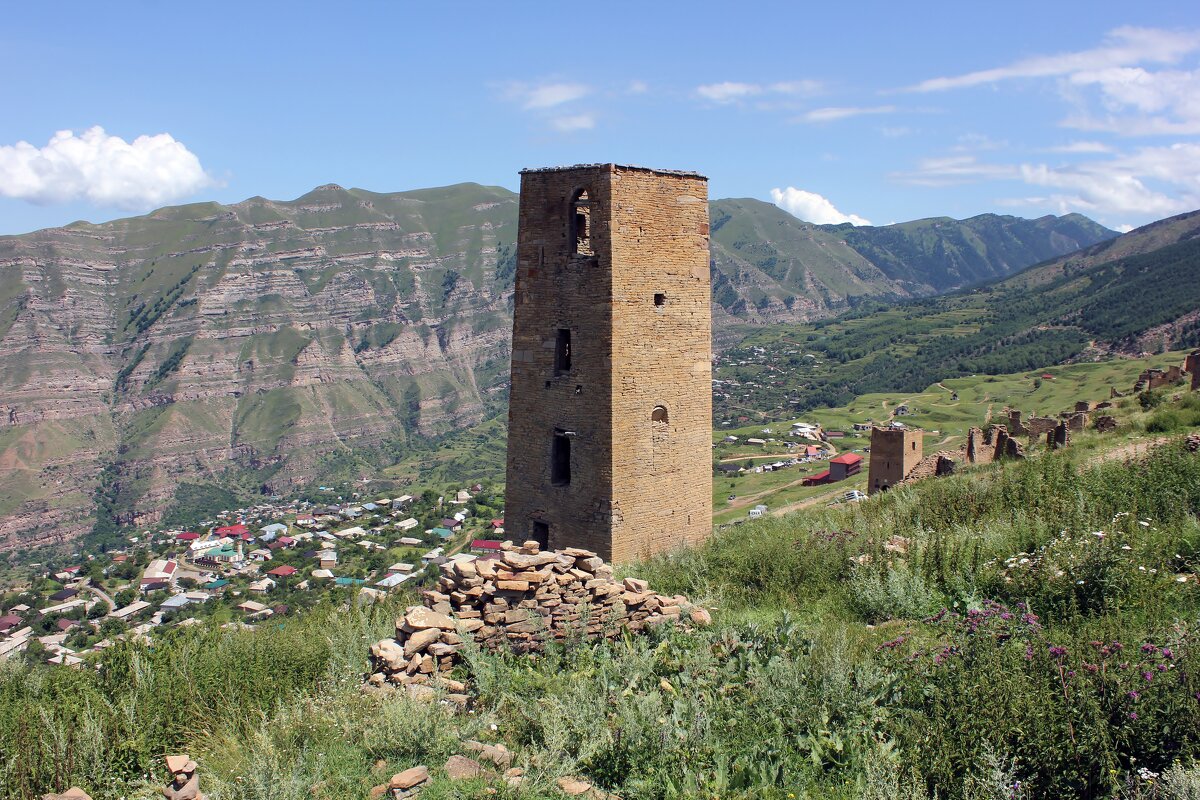 Родовые башни - Владимир Соколов (svladmir) Родовые башни - Владимир Соколов (svladmir)