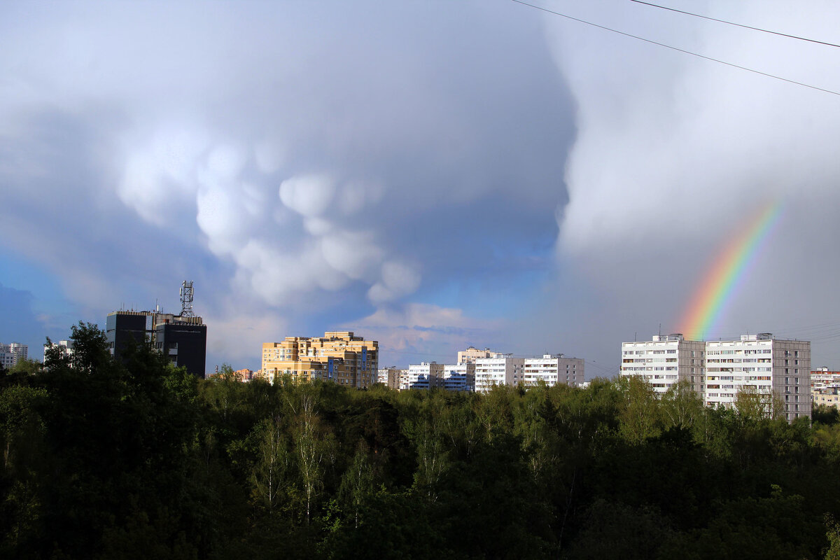 . - РИТА ЛЕВКОВА