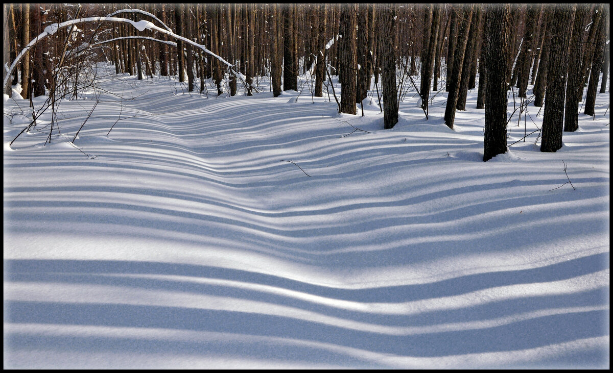 Дорога - **** vedin