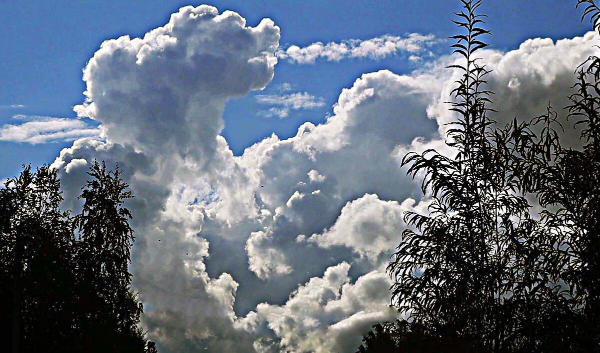 Август...Облачный Михайло Иванович! - Владимир 