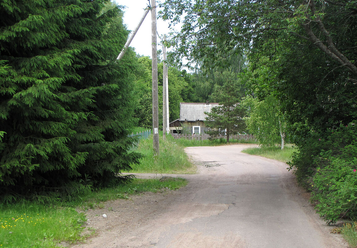 Поселок Манола - Александр Ильчевский 