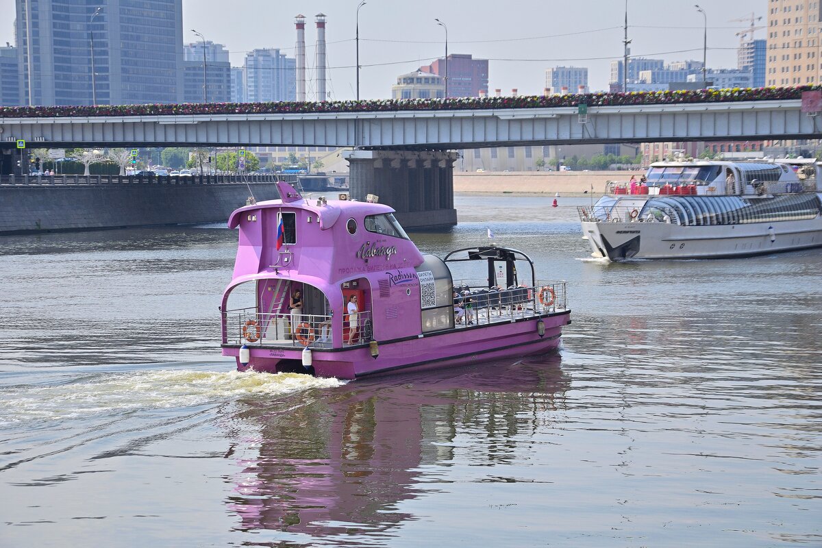 "А я иду, шагаю по Москве..." - Владимир Мигонькин
