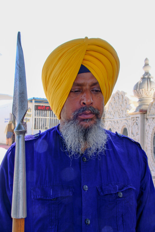 Сикхский страж храма - Георгий А