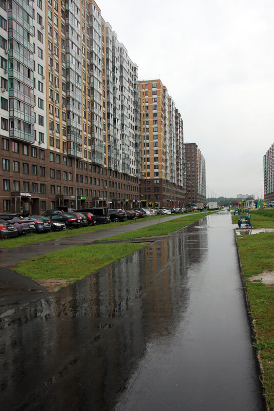 Промокший город - Roman stories -