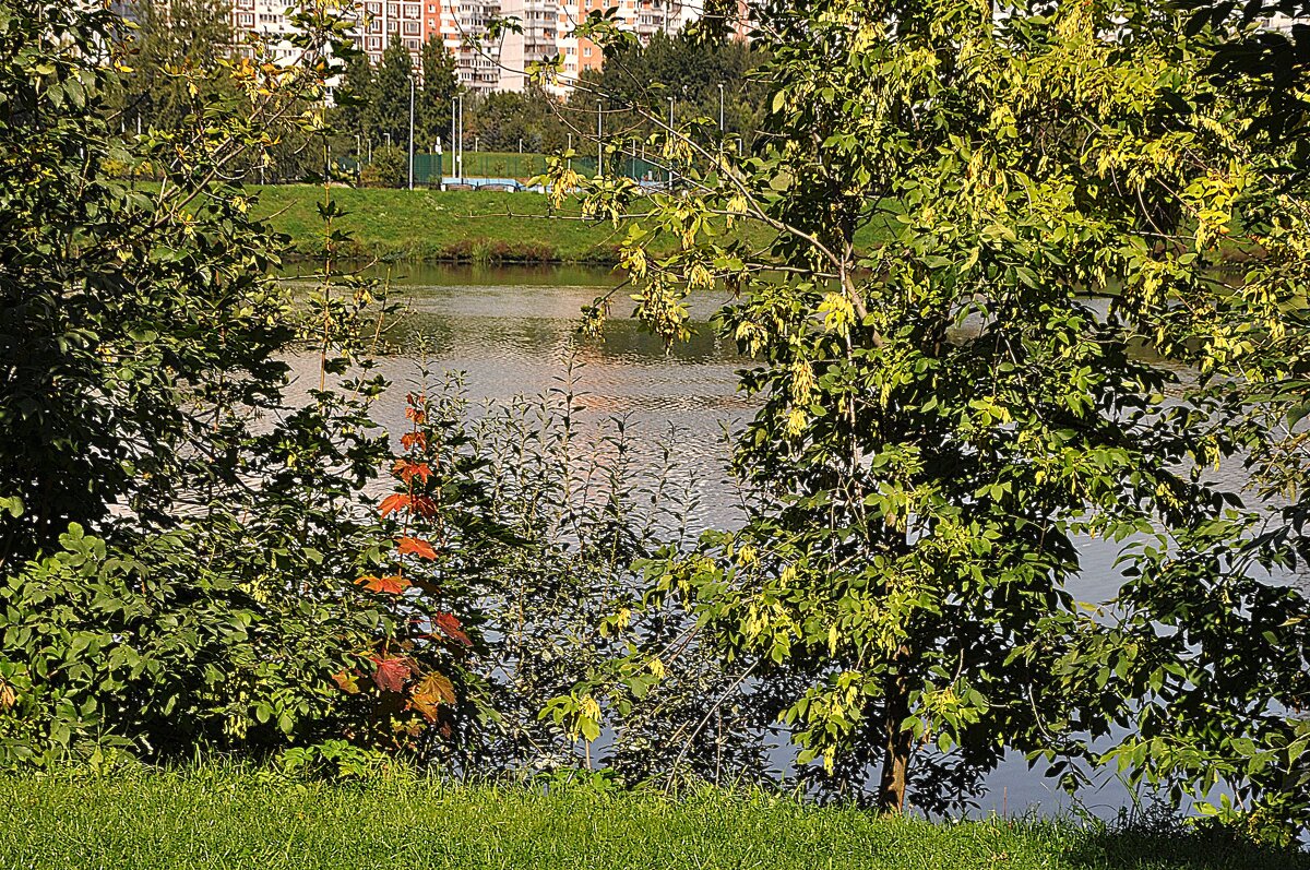 Берег левый , берег правый - уже осенний ! - Анатолий Колосов