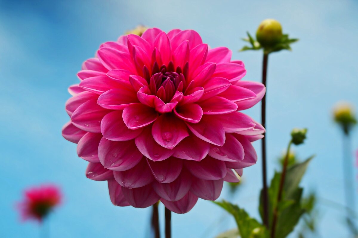 Доброе утро - Юрий. Шмаков Доброе утро - Юрий. Шмаков