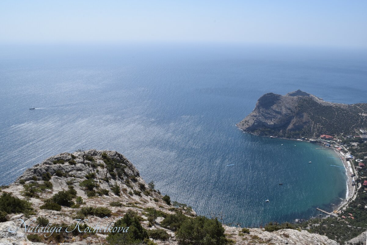 Природа Крыма - Amazing Cosmea Природа Крыма - Amazing Cosmea