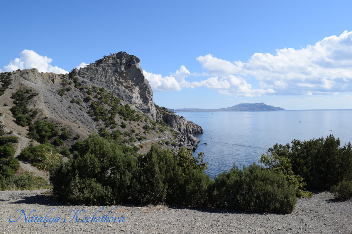 Природа Крыма - Amazing Cosmea