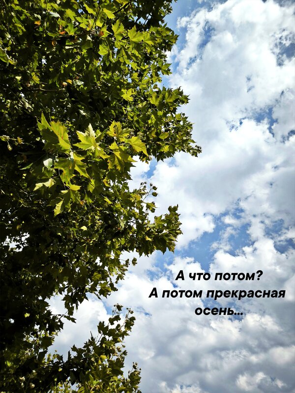 *** - Oksana Verkhoglyad