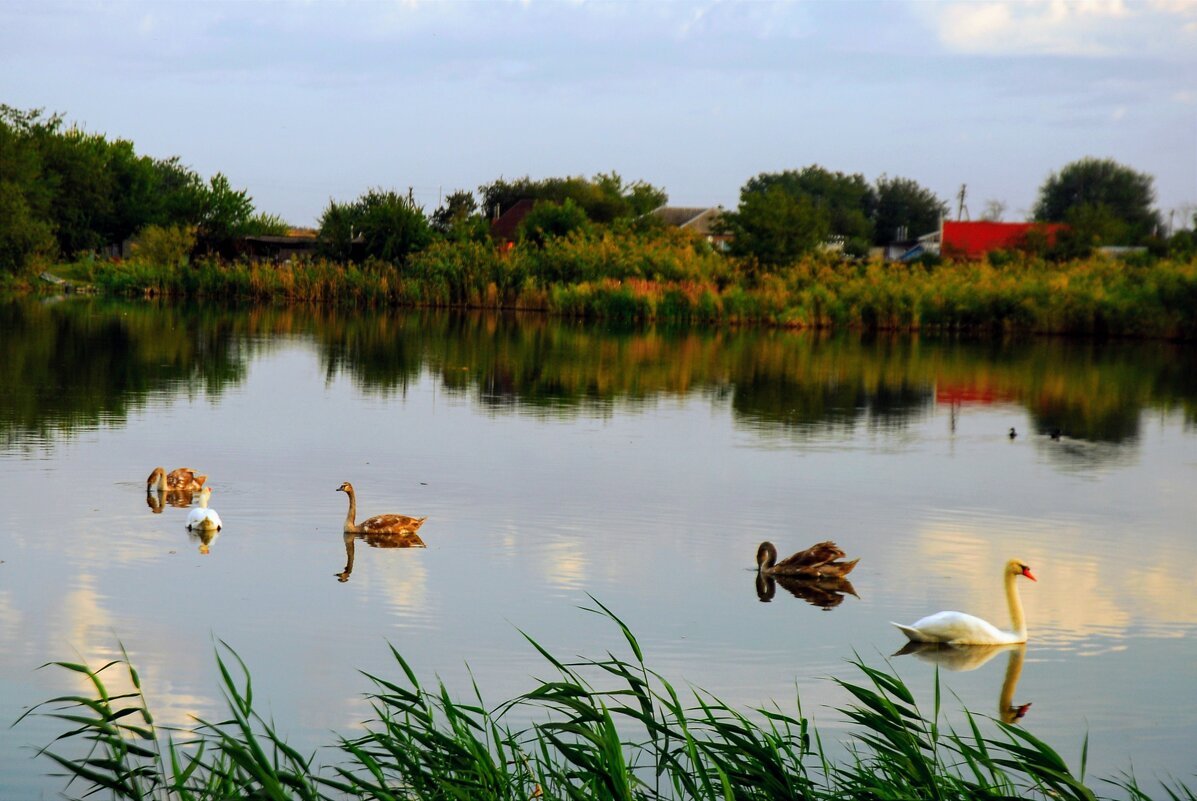 Утро. - Владимир 