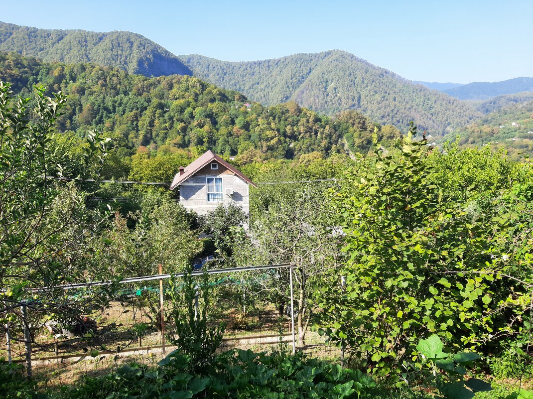 ГОРНЫЙ ПОСЕЛОК - Tata Wolf