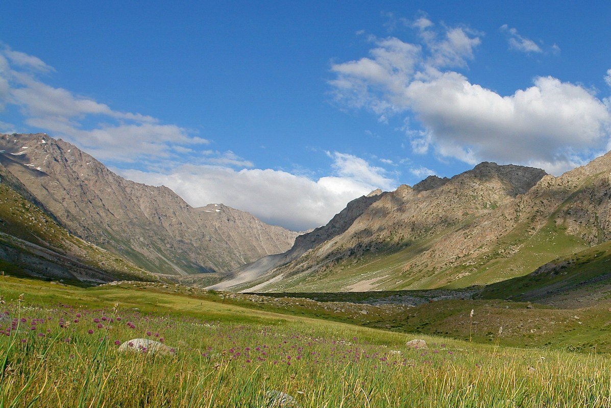 ПРИТОК ОЙГАИНГА. h- 2700м. - Виктор Осипчук