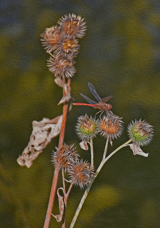 Вкусный репейник! - Валентина  Нефёдова 