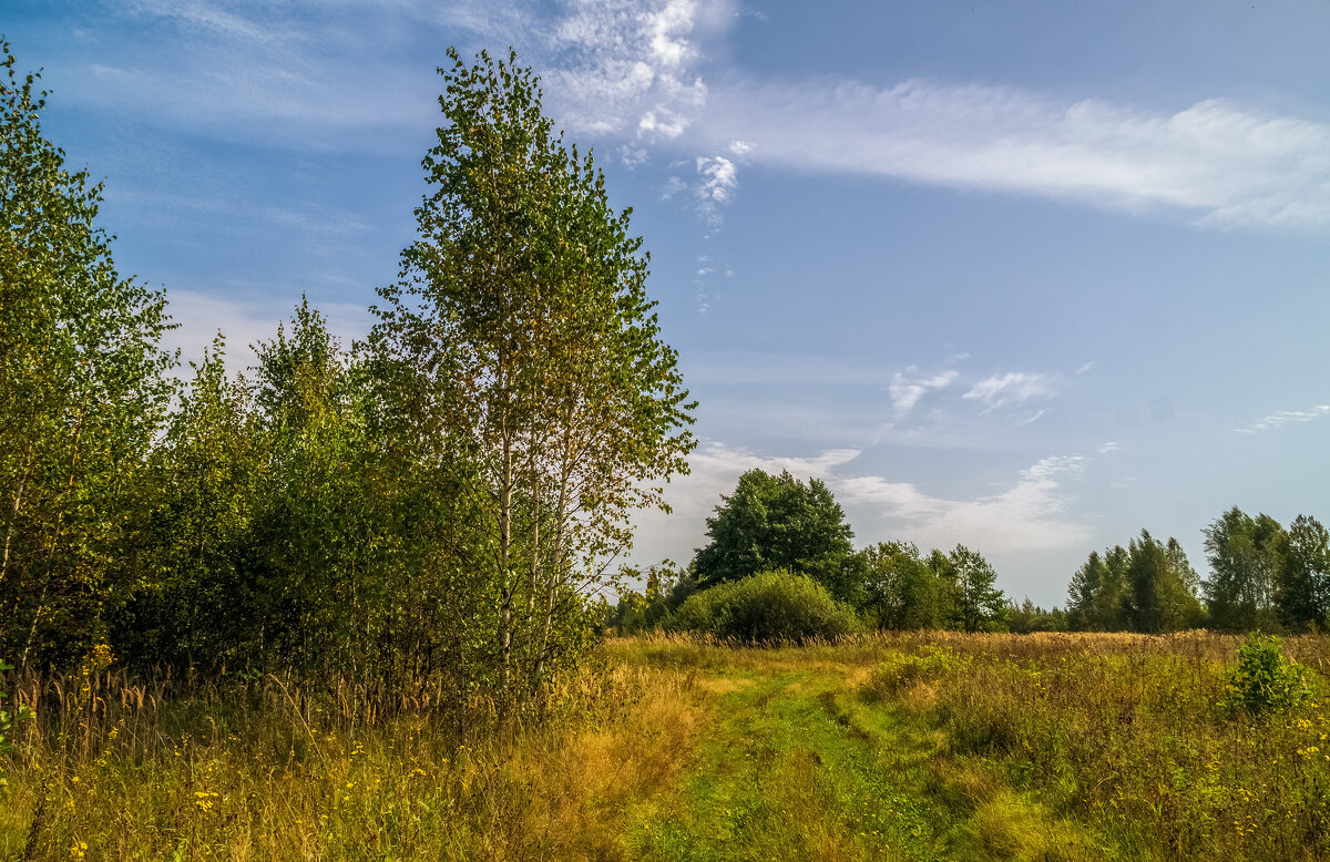 На исходе лета 8 - Андрей Дворников