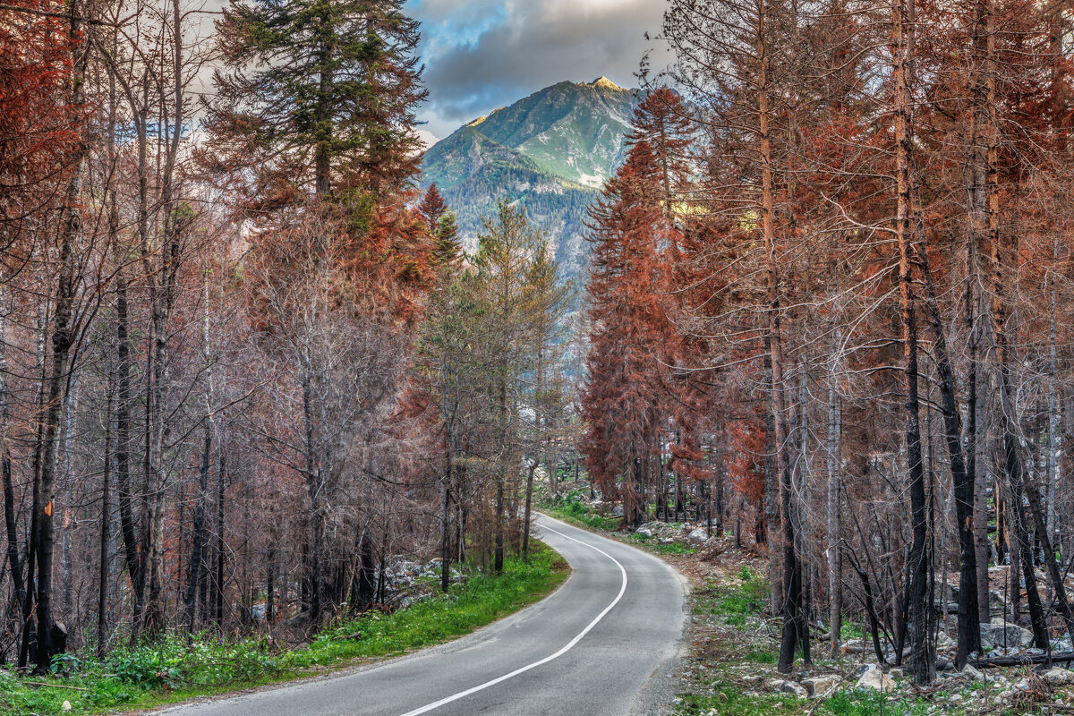 Кавказ - Владимир Колесников