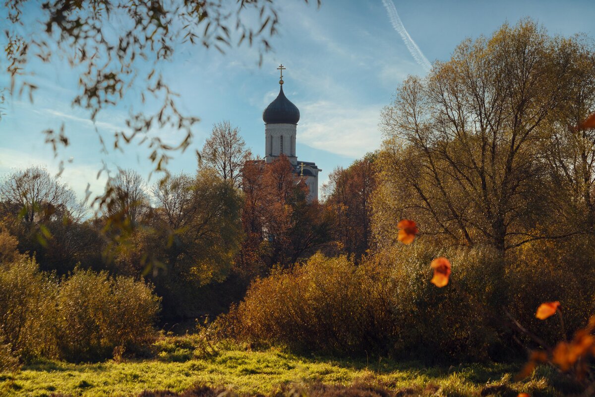 Храм Покрова на Нерли - Вячеслав Владимирович