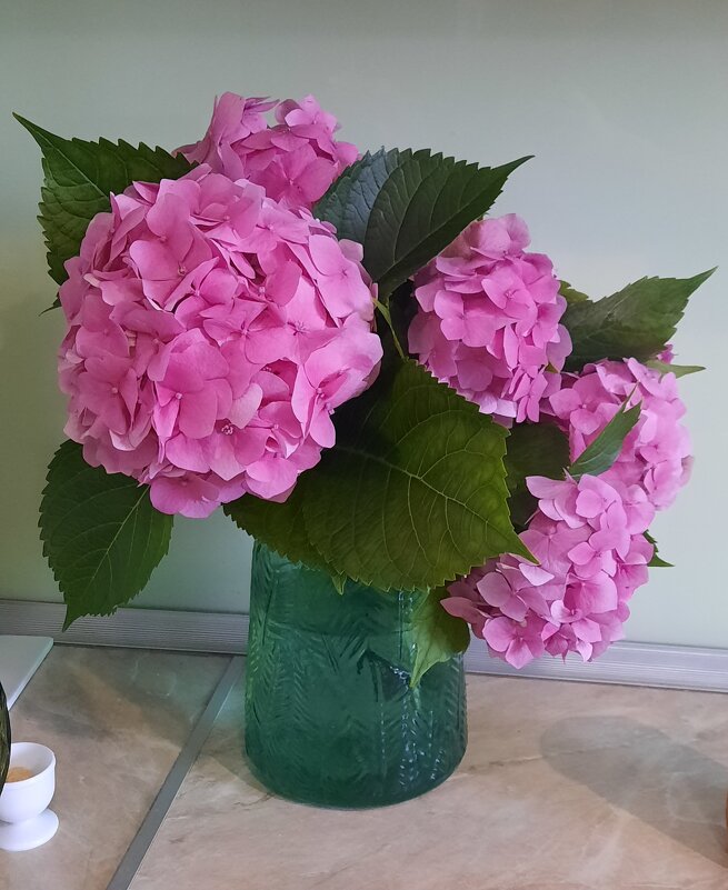 Цветы - Мария Гуськова