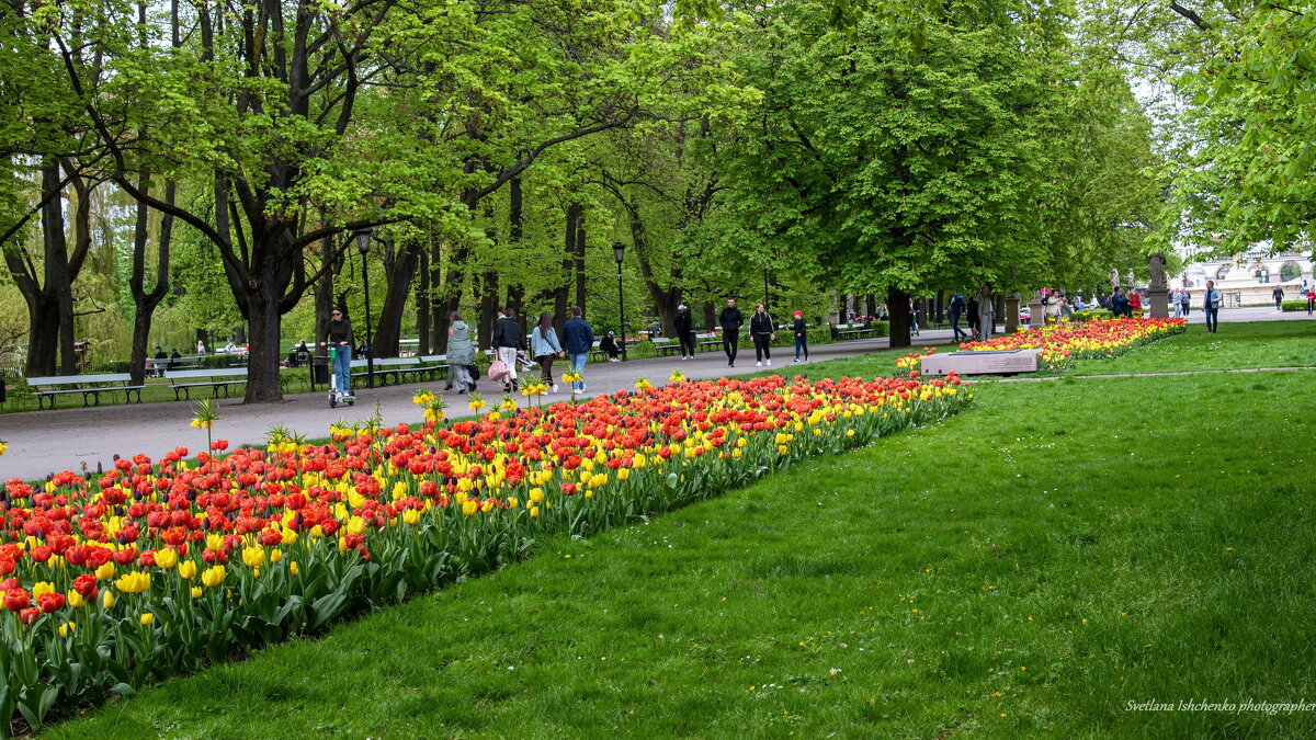 Саксонский сад — городской парк - Светлана Ищенко